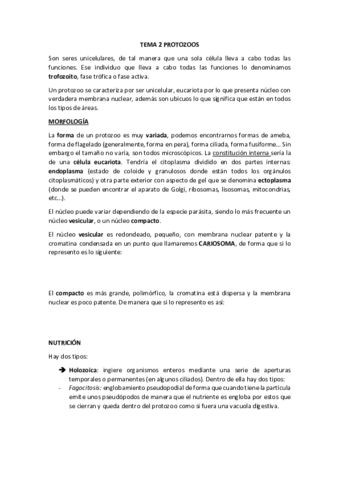 Tema 2 protozoos.pdf
