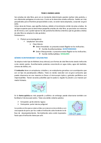 TEMA 5 AMEBAS LIMAX.pdf