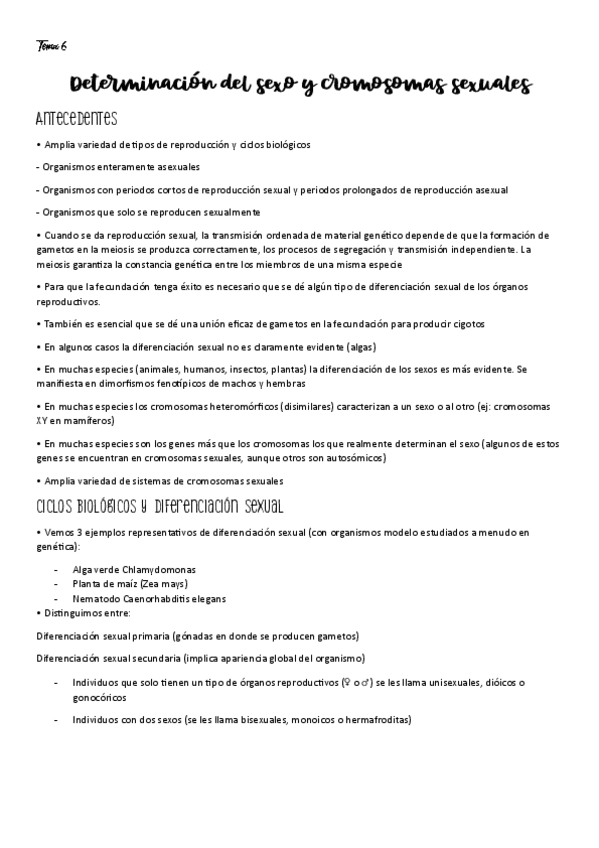 Tema-6.pdf