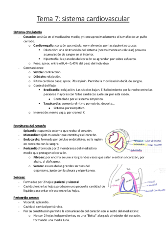 Tema 7 corazón.pdf