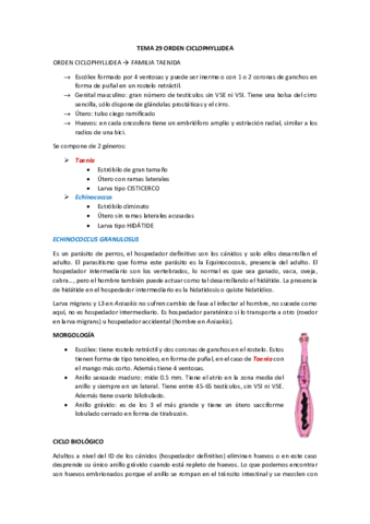 tema 29 Equinococcus.pdf