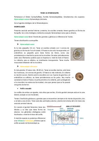 TEMA 31.pdf