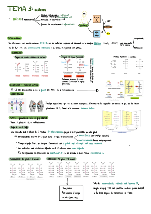 TEMA-3.pdf