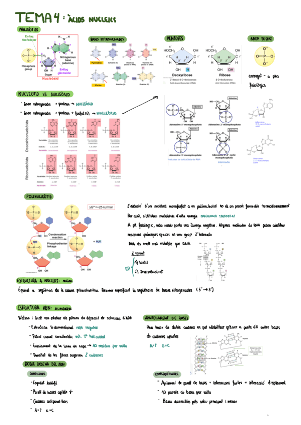 TEMA-4.pdf