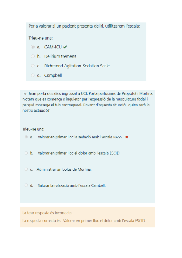 Prova-de-validacio-previa-taller-sedo-analgesia-pacient-critic.pdf