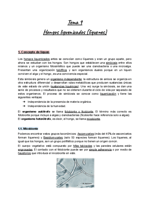 Apuntes-Tema-9-Botanica-I-Hongos-liquenizados-liquenes.pdf