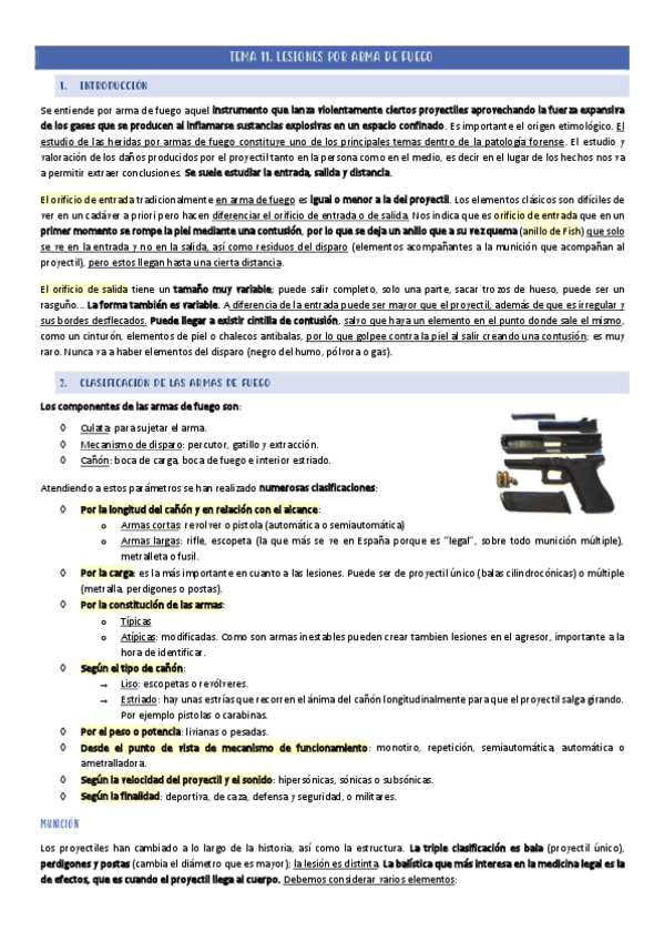 TEMA-11.pdf