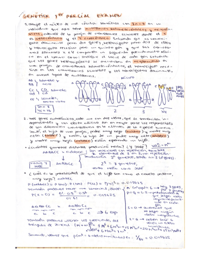 PRIMER-PARCIAL-GENETICA-resuelto.pdf
