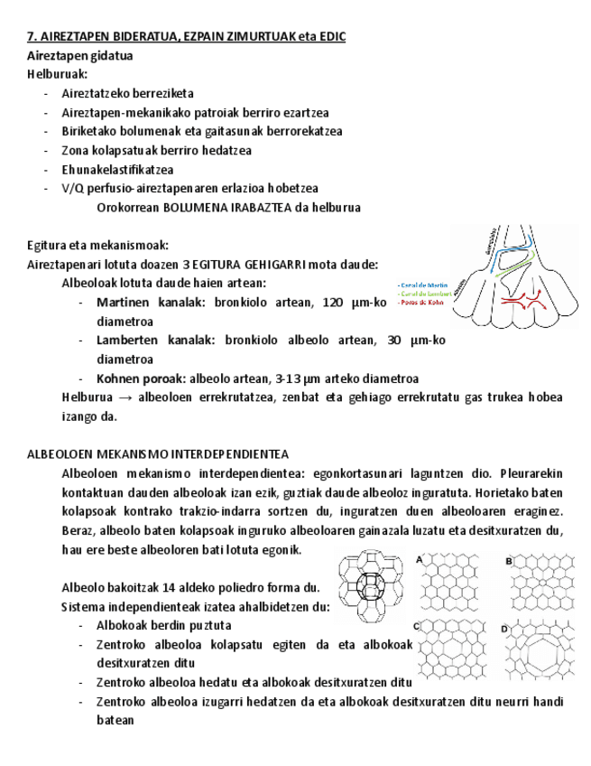 7.-AIREZTAPEN-BIDERATUA-EZPAIN-ZIMURTUAK-ETA-EDIC.pdf