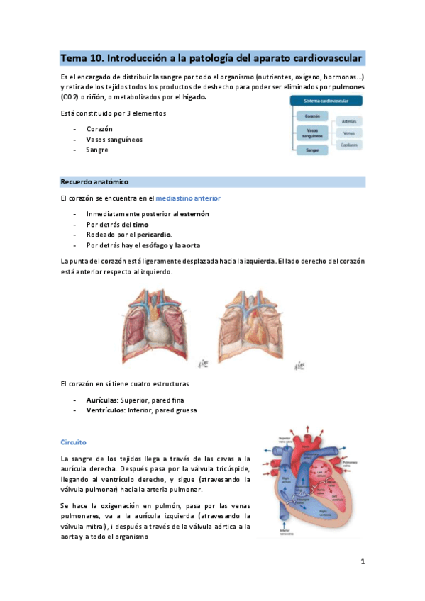 T10-FIS-Intro-cardio.pdf