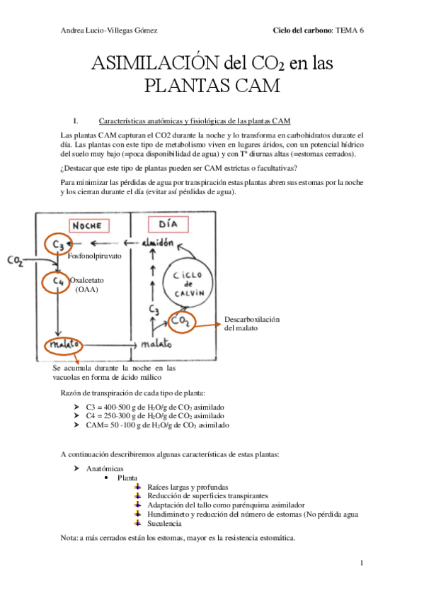 TEMA-6.pdf