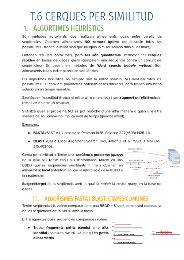 T.6-CERQUES-PER-SIMILITUD.pdf