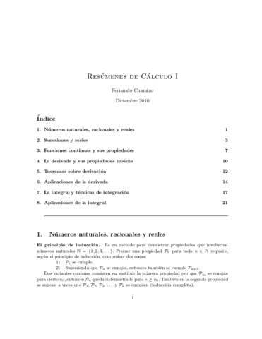 chamizo_resumen_asign_calcI-inf.pdf
