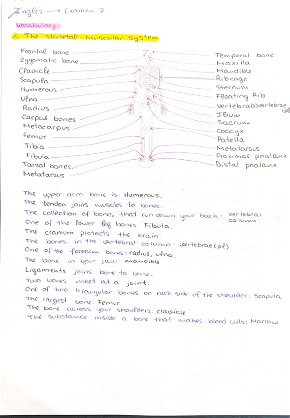 Resumen-Parcial-2-Ingles-Apuntes-Elena-Curro.pdf