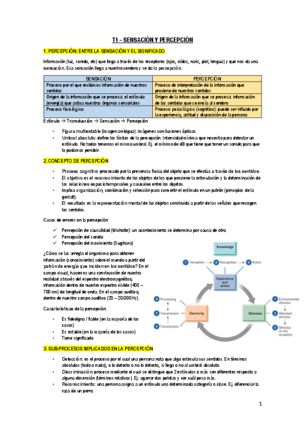 T1-PERCEPCION.pdf