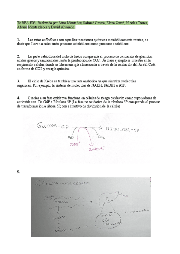 Guías de estudio 1º Parcial- Elena Curró.pdf