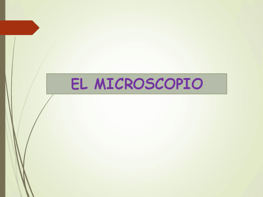8.-El-microscopio-optico.-Visualizacion-de-celulas-vegetales-y-animales1-1.pdf