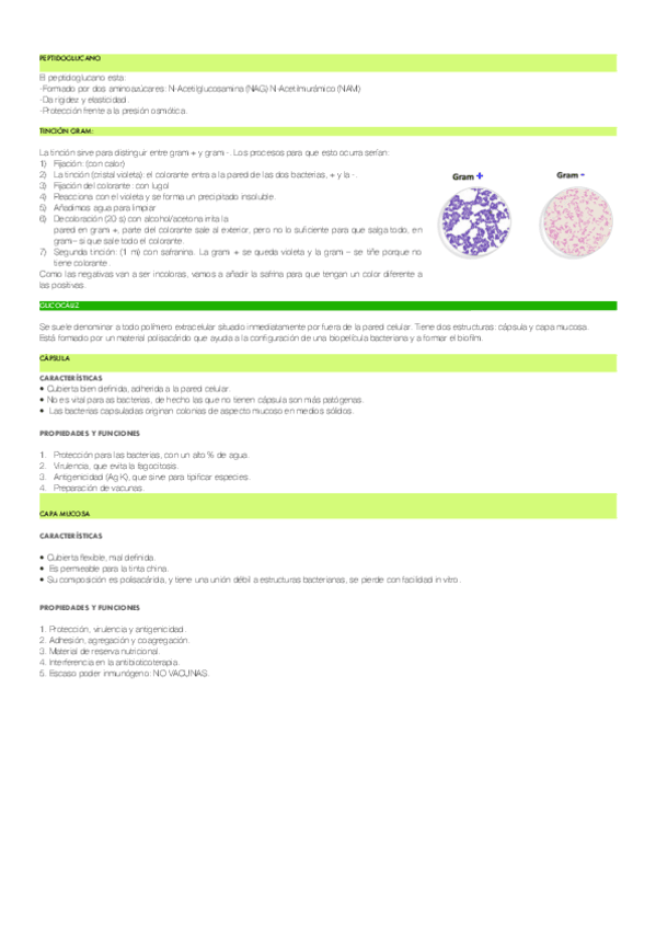 TEMA-6.pdf