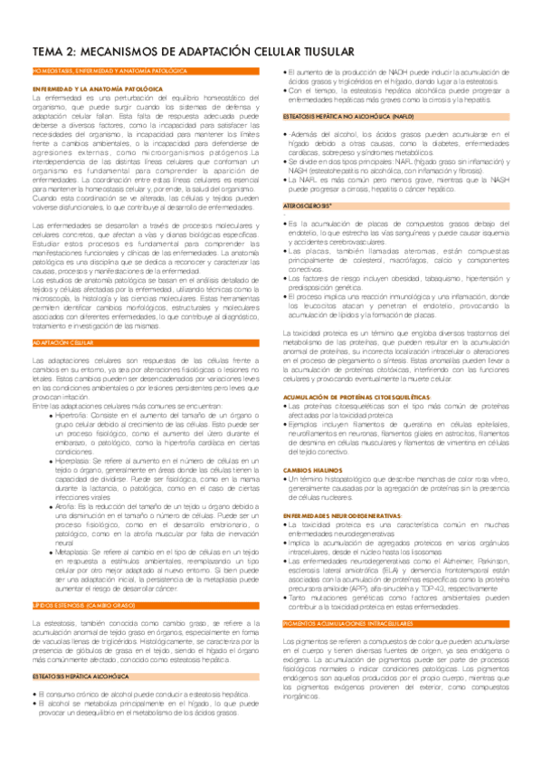 TEMA-2.pdf