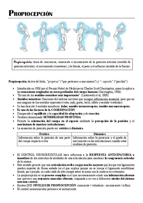 PROPIOCEPCION.pdf