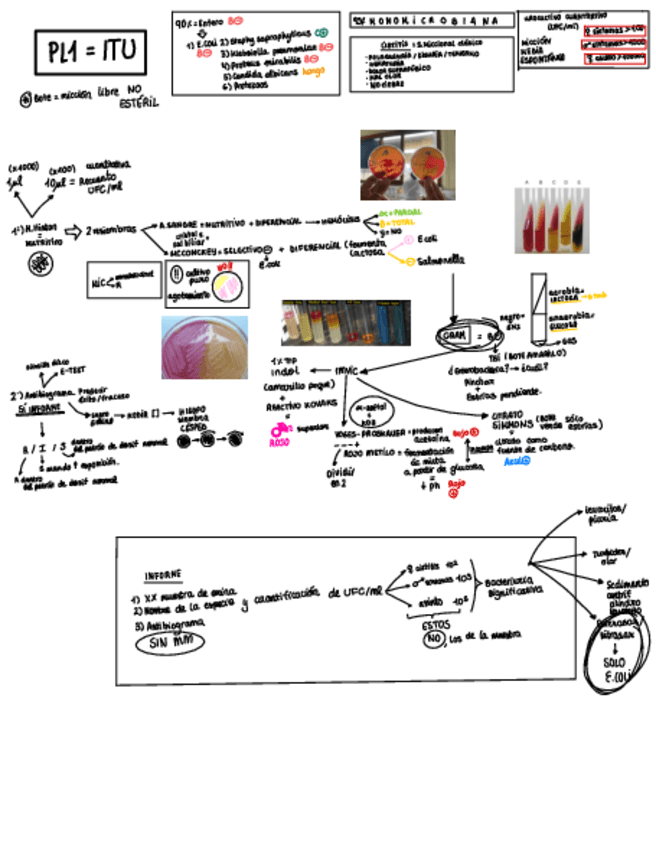 Laboratorio.pdf