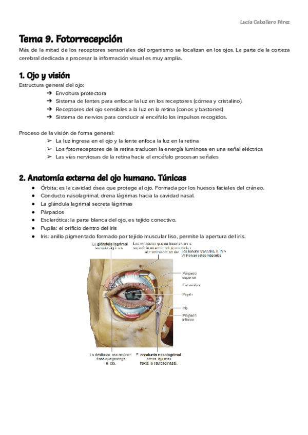 Tema-9-fisio-animal.pdf