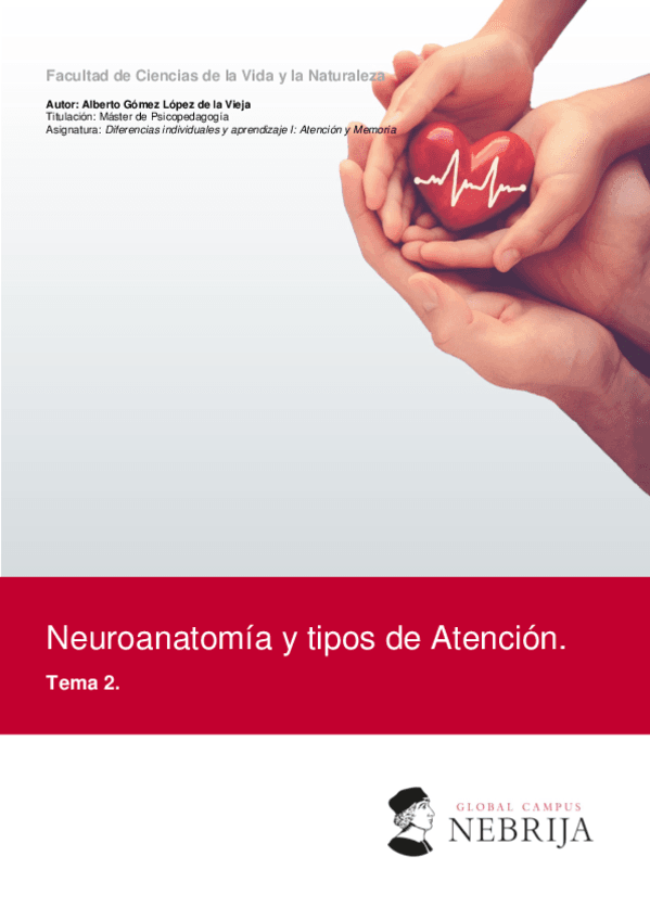 ATENCION-tema2-FINAL.pdf