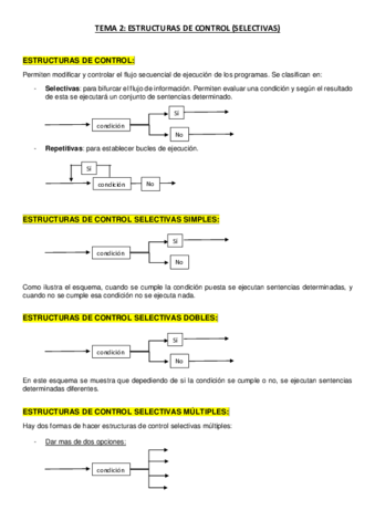 APUNTES TEMA 2 NIEVES.pdf
