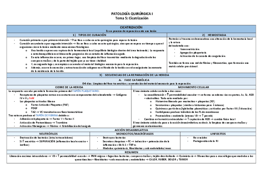 Tema-5-Cicatrizacion-TABLA.pdf