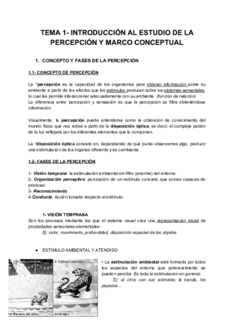 TEMA 1 apm .pdf