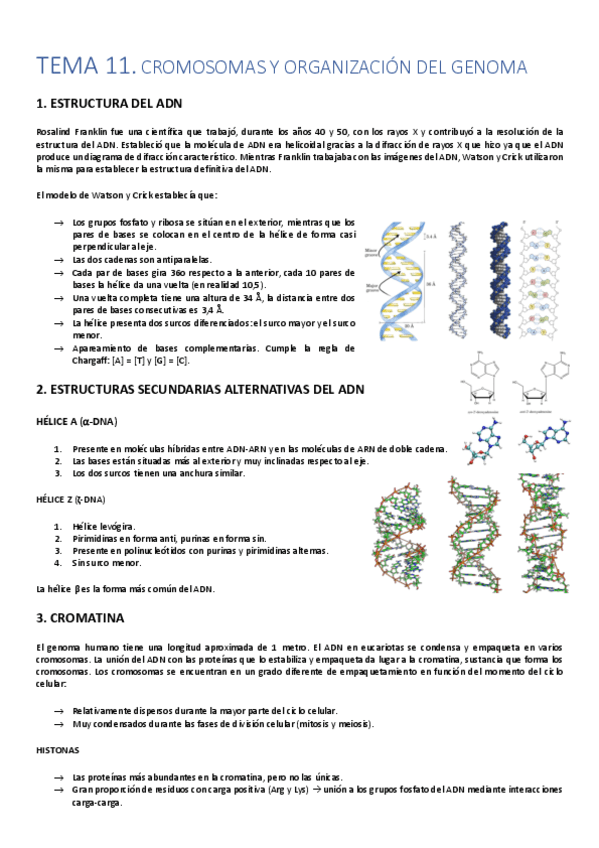 TEMA-11-21-BIOLOGIA.pdf