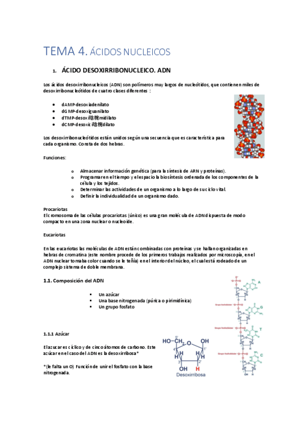 TEMA-4-BIOQUIMICA.pdf