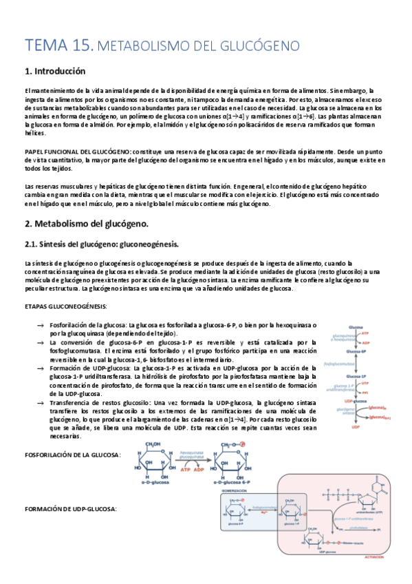 TEMA-15-BIOQUIMICA.pdf