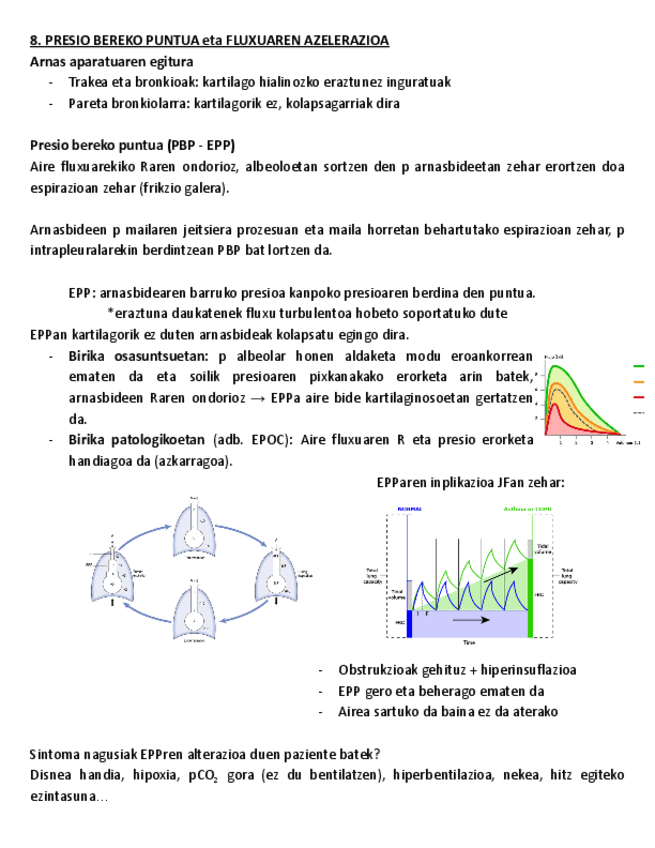 8.-PRESIO-BEREKO-PUNTUA-eta-FLUXUAREN-AZELERAZIOA.pdf