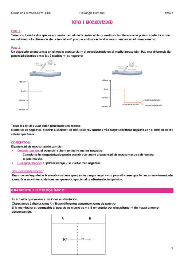 Fisiologia-Tema-1.pdf