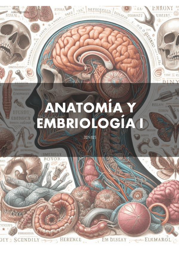 Apuntes-de-anatomia-2024-2025.pdf