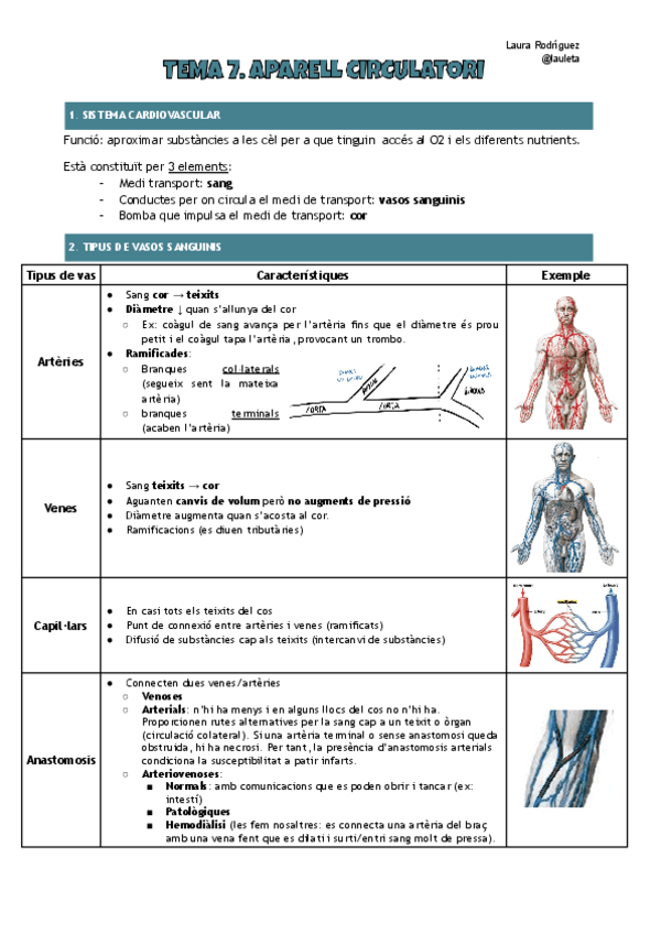 Tema-7-anatomia-Aparell-circulatori.pdf