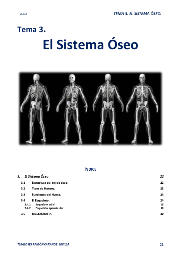 03-EL-SISTEMA-OSEO.-24.25.Apuntes.pdf