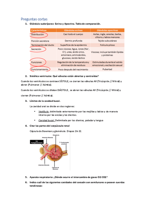 Preguntas-parcial-Anatomia-2.pdf