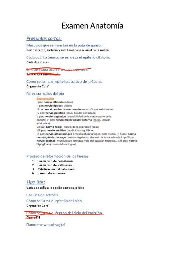 Parcial-Anatomia.pdf