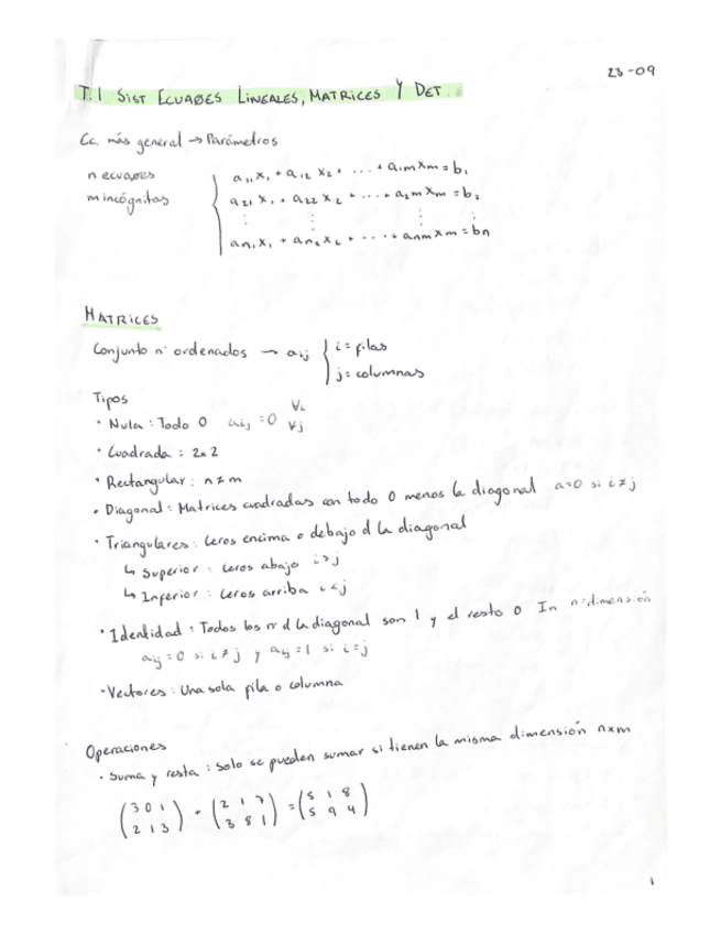 T1-Sistemas-De-Ecuaciones-Matrices-Y-Determinantes.pdf