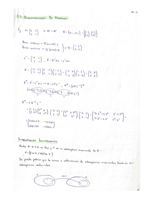T4-Diagonalizacion-De-Matrices.pdf