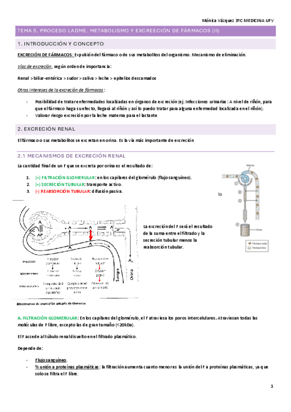 T5.-FARMA.pdf
