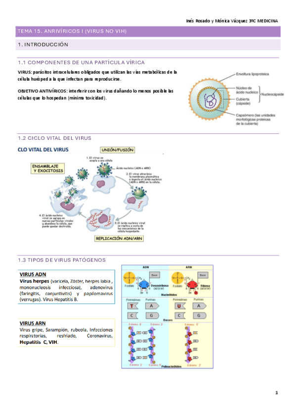 T15.-FARMA.pdf