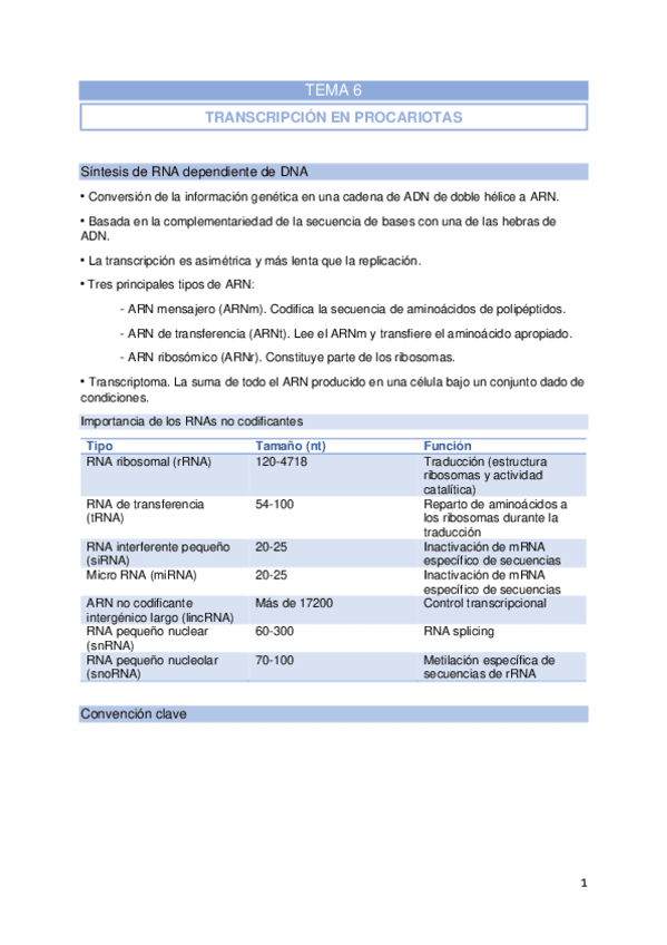 T6-Transcripcion-en-procariotas.pdf