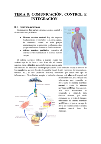 TEMA 8.pdf