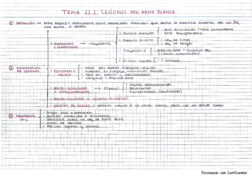 Medicina.-Tema-11.pdf