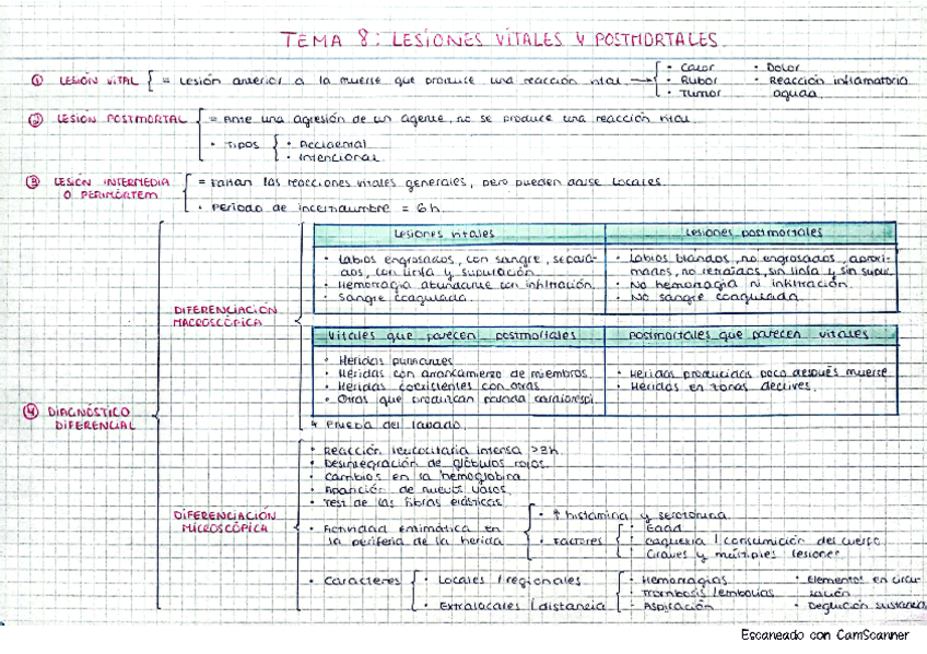 Medicina.-Tema-8.pdf