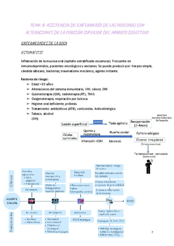 Tema-6-Adulto-II-1.pdf