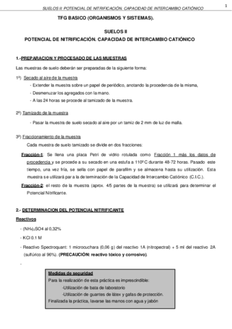 GUION_Suelos_II_TFG.pdf